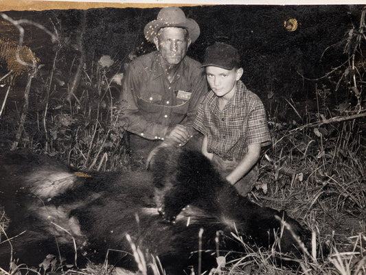 The Bear - Ted Sorensen, Western Art