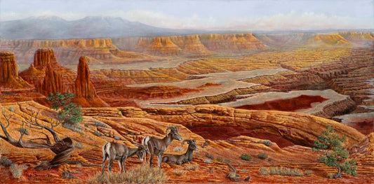 Mesa Arch limited edition canvas print by Ted Sorensen showcasing western desert landscape and wildlife