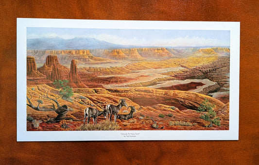 Mesa arch western art open print by Ted Sorensen featuring a detailed desert landscape with wild horses